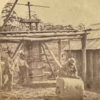 Old photograph of man rolling a wool bale away from the press at Twamley Tasmania