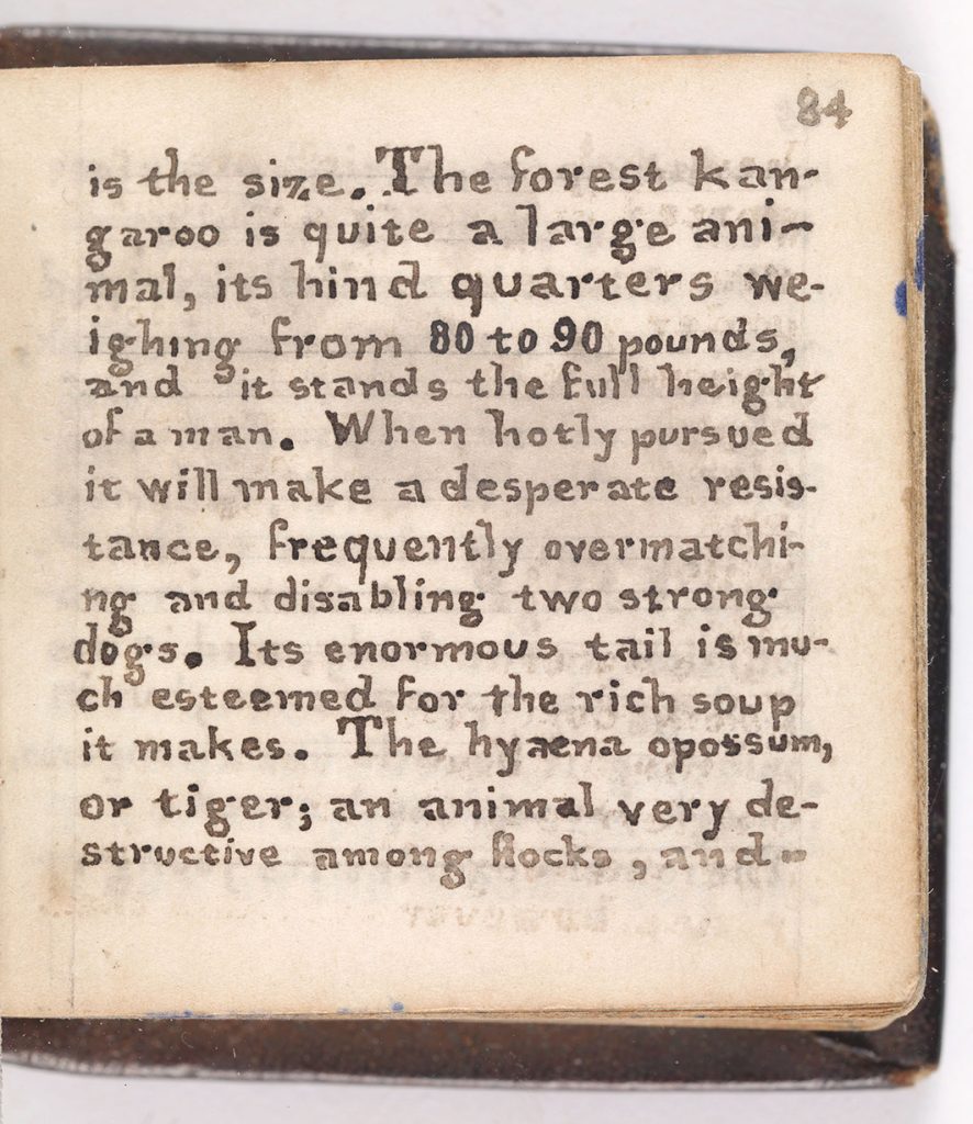 Text reads: Is the size, the forest kangaroo is quite a large animal, its hind quarters weighing from 80 to 90 pounds, and it stands the full height of a man. When hotly pursued it will make a desperate resistance, frequently overmatching and disabling two strong dogs. Its enormous tail is much esteemed for the rich soup it makes. The hyaena opossum, or tiger; an animal very destructive among flocks, and