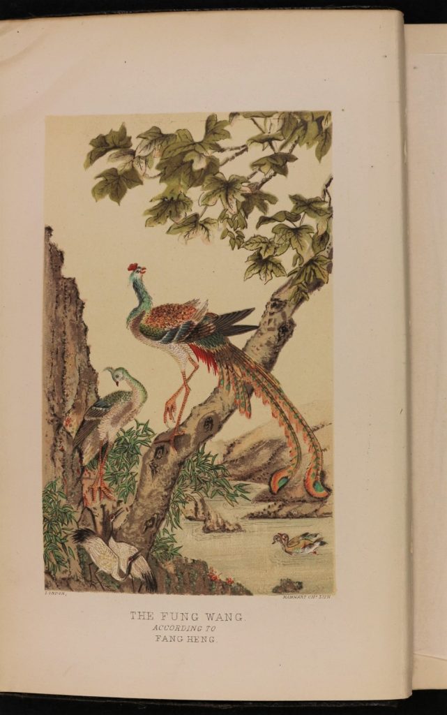 A page from the Mythical Monsters book. An drawing of peacock on a tree next to a river.